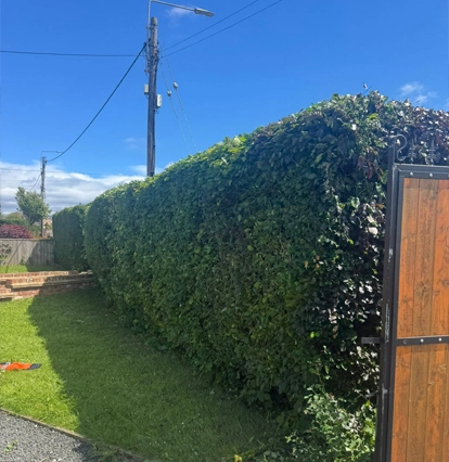 Fisher’s Garden Services & Rubbish Removal